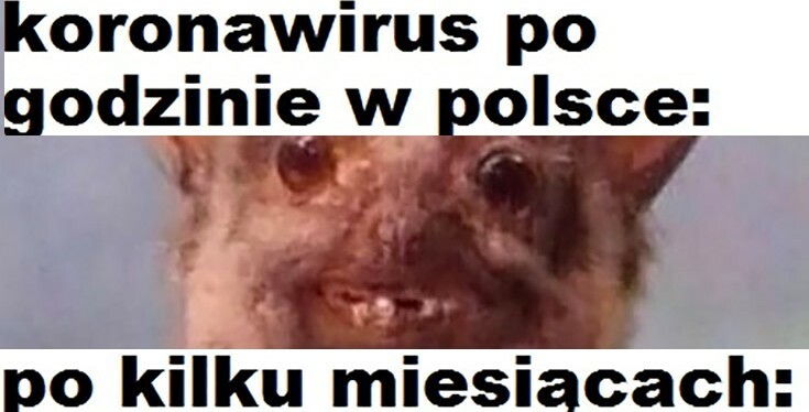 Koronawirus po kilku miesiącach :D