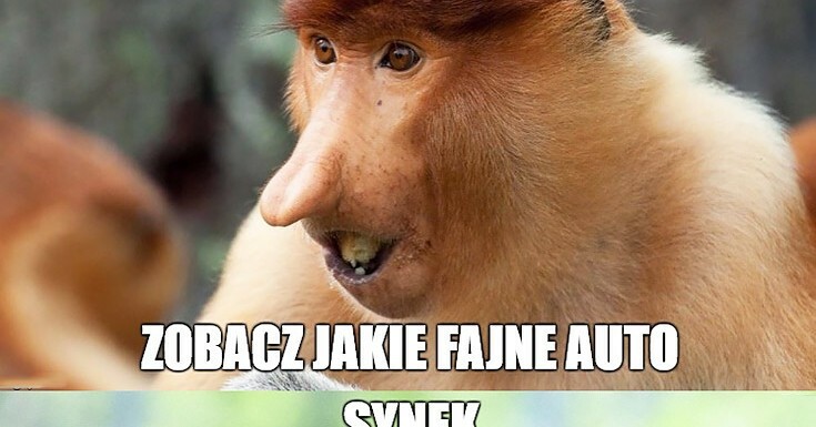 Tate, zobacz jakie fajne auto! 
