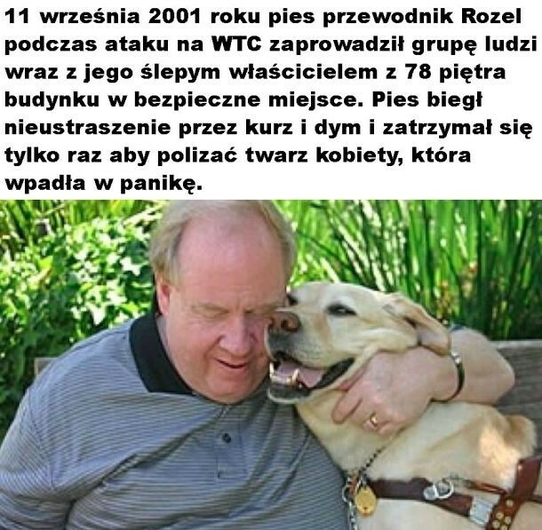 Historia, która zrobi Wam dzień!