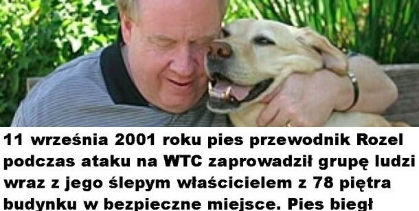 Historia, która zrobi Wam dzień!