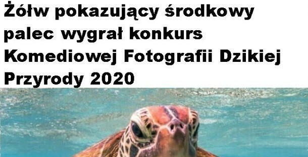 Mistrzowskie zdjęcie