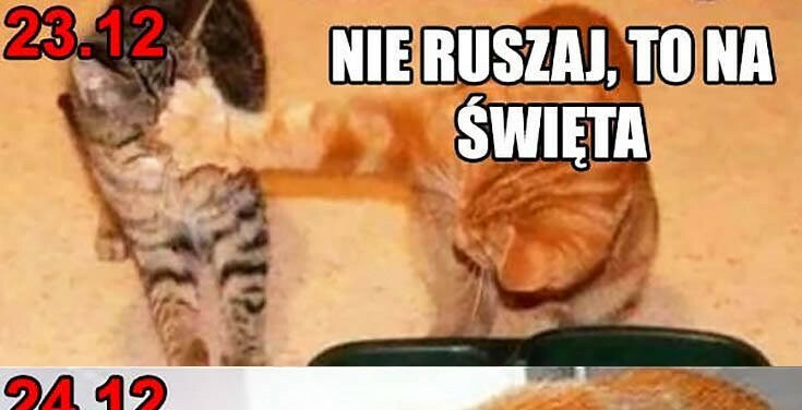 Odwieczny świąteczny konflikt :D