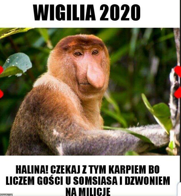 Januszowa wigiilia :D