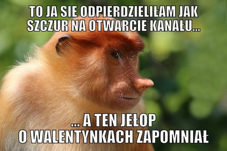 Janusz się nie popisał :/