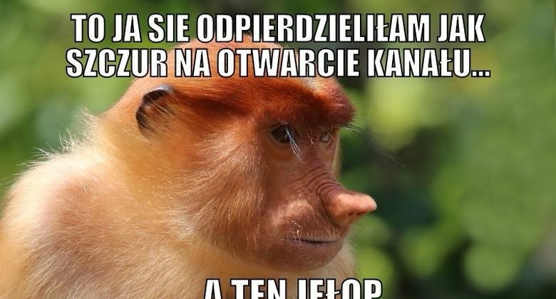 Janusz się nie popisał :/