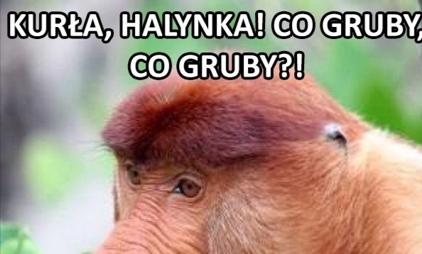 Janusz w tłusty czwartek 