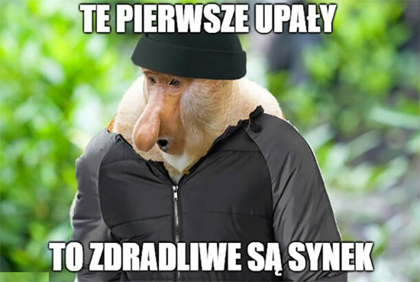 Ach te pierwsze upały :D