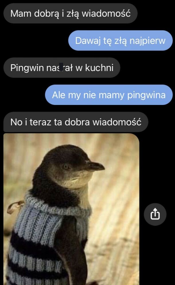 Pingwin w kuchni :D