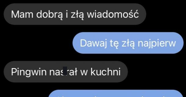 Pingwin w kuchni :D