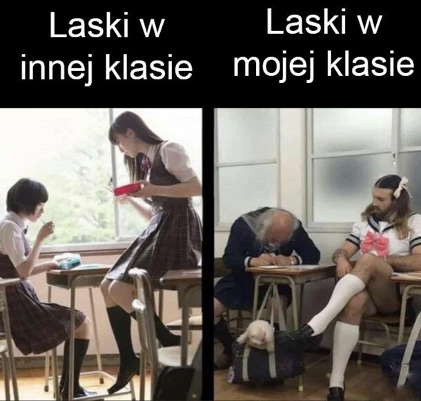 Laski w mojej klasie