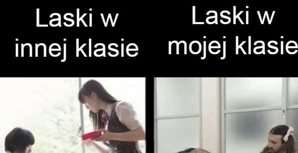 Laski w mojej klasie