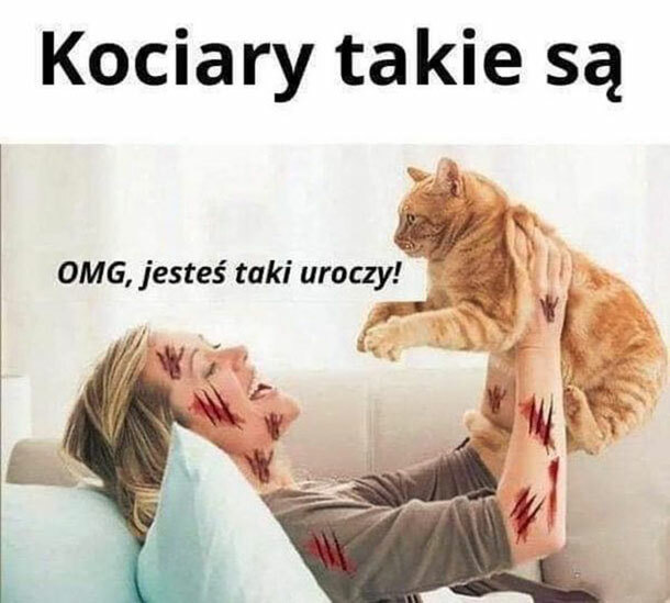 Kociary takie są :D