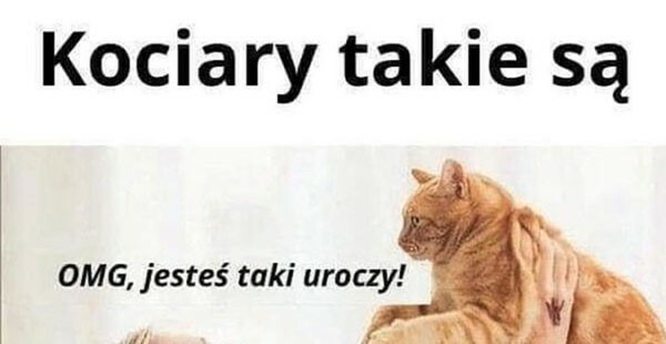 Kociary takie są :D