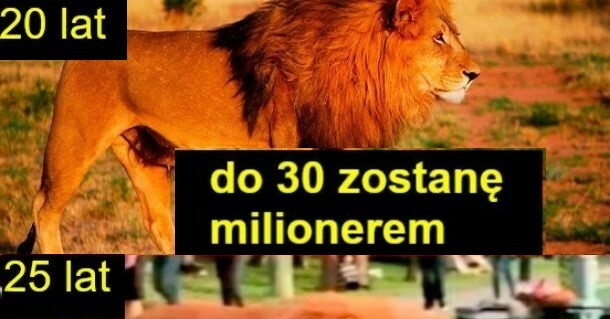 Oczekiwania vs rzeczywistość :D