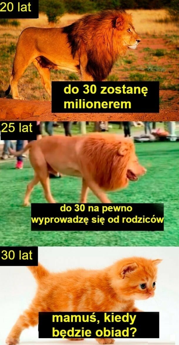 Oczekiwania vs rzeczywistość :D