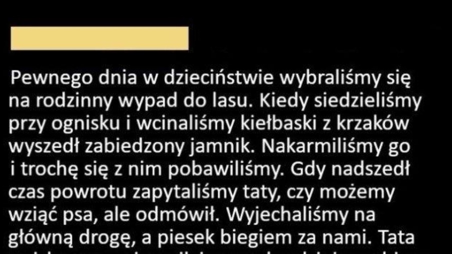 Piękna historia z psem