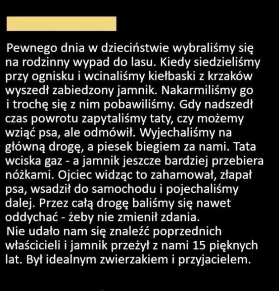 Piękna historia z psem