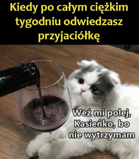 No nie wytrzymam
