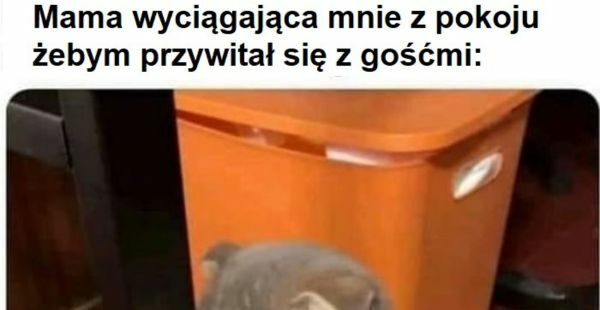 Chodź, przywitaj się