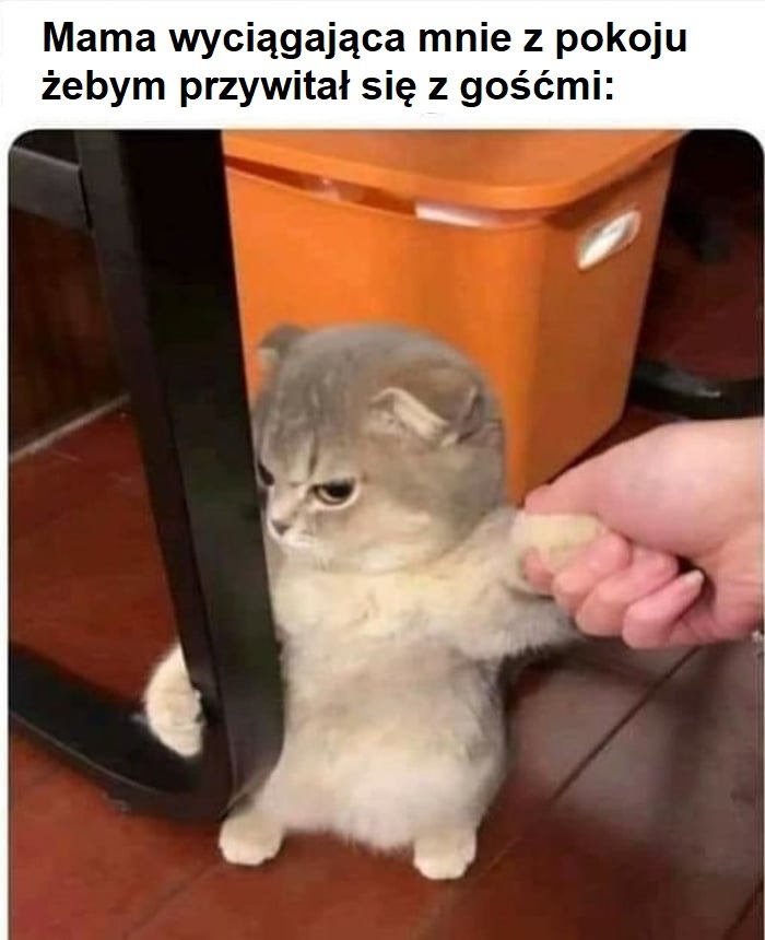 Chodź, przywitaj się