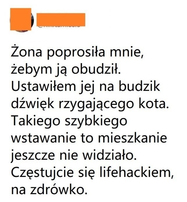 Oryginalna pobudka :D