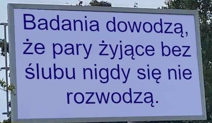Wyniki badań