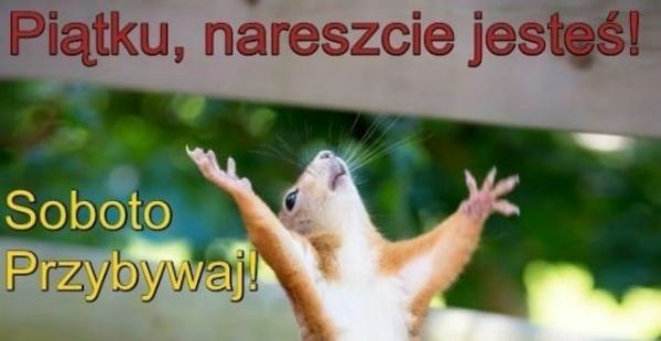 Piątku, nareszcie jesteś! 