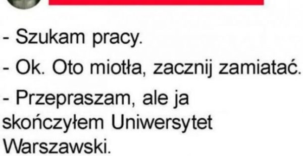Kariera po studiach