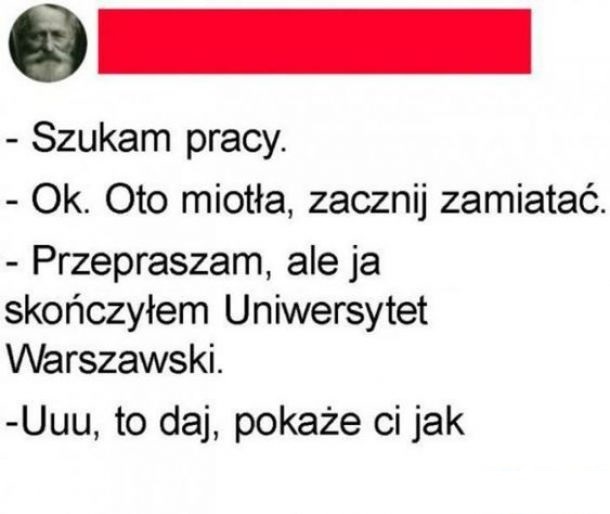 Kariera po studiach