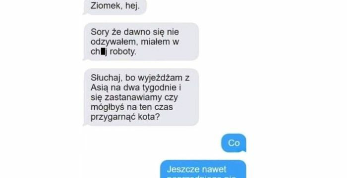 Przygarniesz kota?
