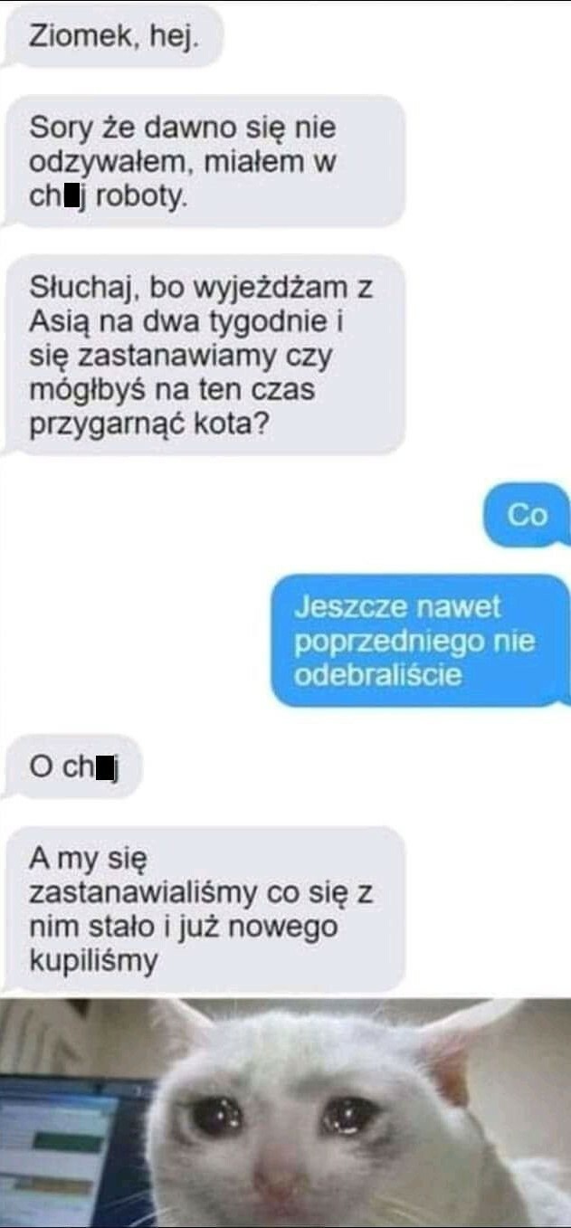 Przygarniesz kota?