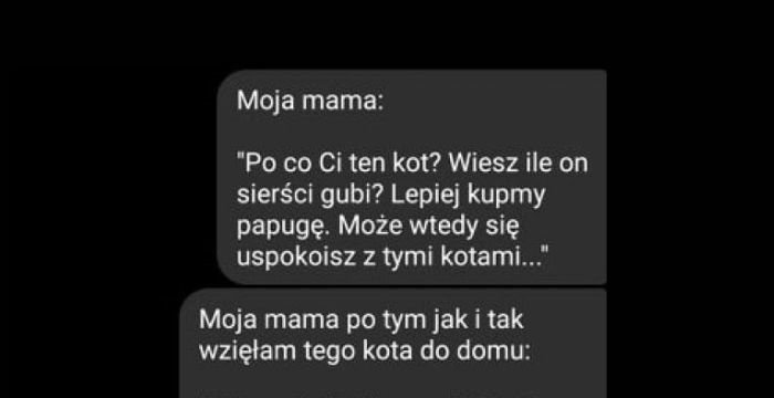 Po co Ci ten kot?