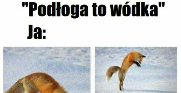 Podłoga to wódka