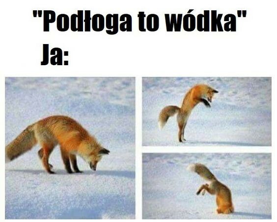 Podłoga to wódka