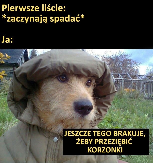 Jesień i 