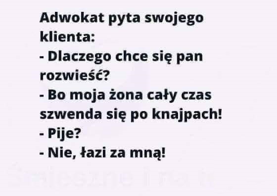 Rozmowa z adwokatem