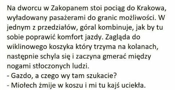 Góral żartowniś 