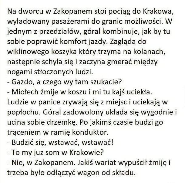 Góral żartowniś 