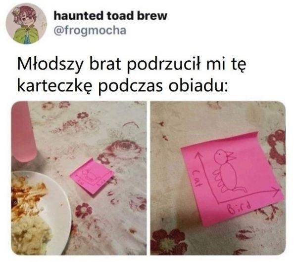 Wszystko zależy od perspektywy