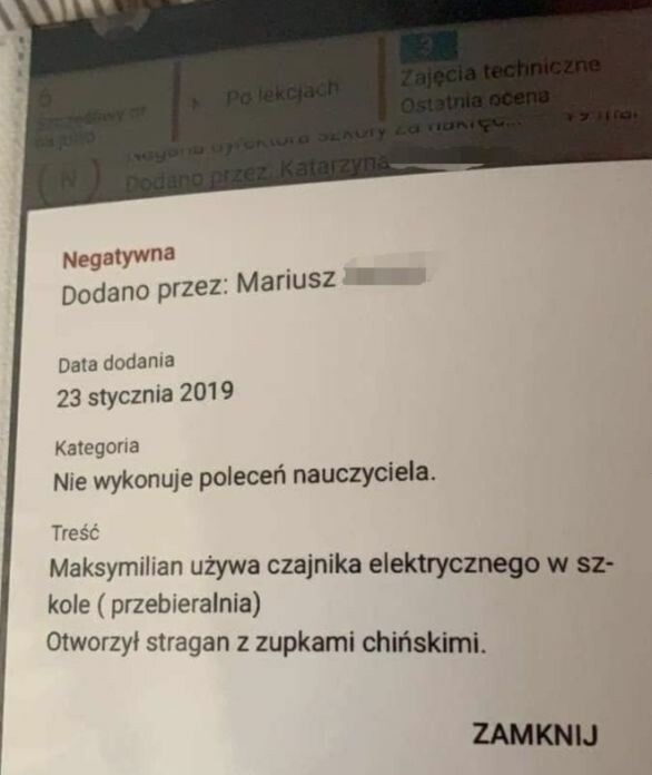 Przedsiębiorczy nastolatek 