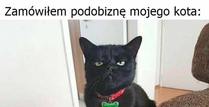 Podobizna kota