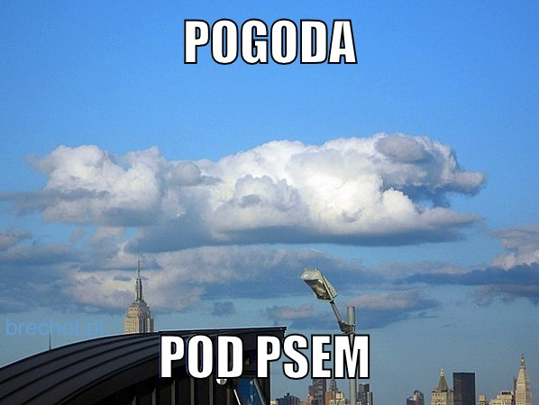 Pogoda pod psem
