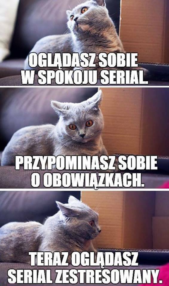 Kiedy przypominam sobie o obowiązkach..