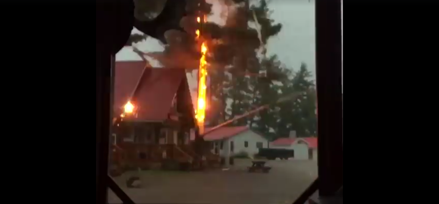 Matka natura bierze górę