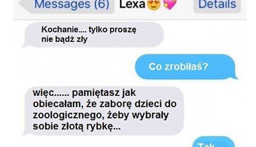 Wyprawa do zoologicznego po rybkę
