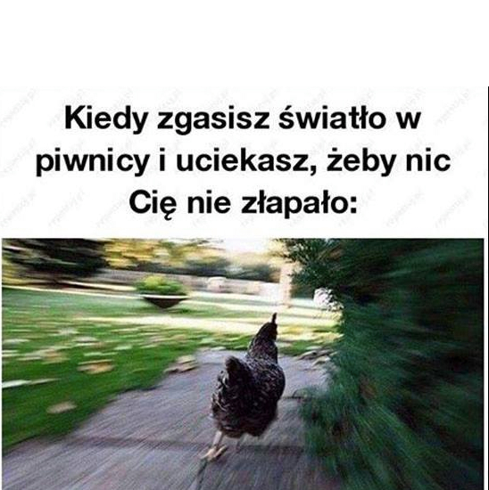 Kiedy zgasisz światło w piwnicy i uciekasz, żeby nic Cię nie złapało...