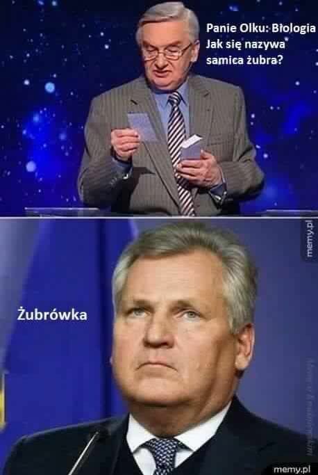Samica żubra to...