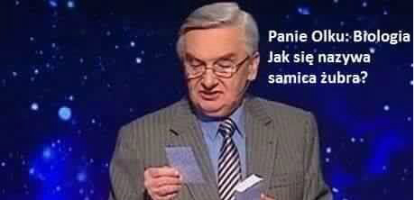 Samica żubra to...