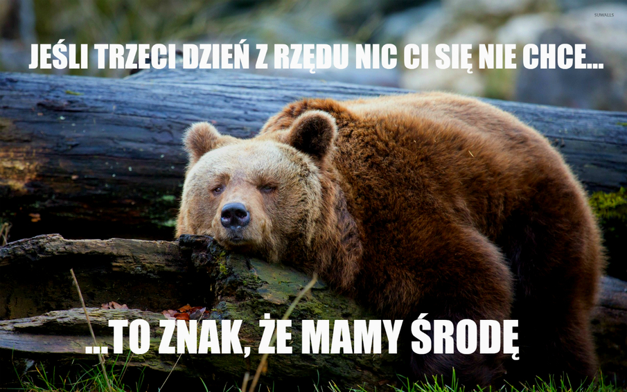 Jeśli trzeci dzień z rzędu nic Ci się nie chce to znak, że...