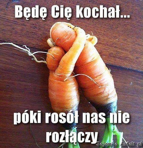 marchewka